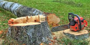 Best Utility Line Clearance  in Groesbeck, OH
