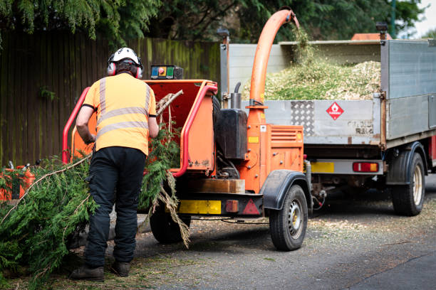  Groesbeck, OH Tree Services Pros