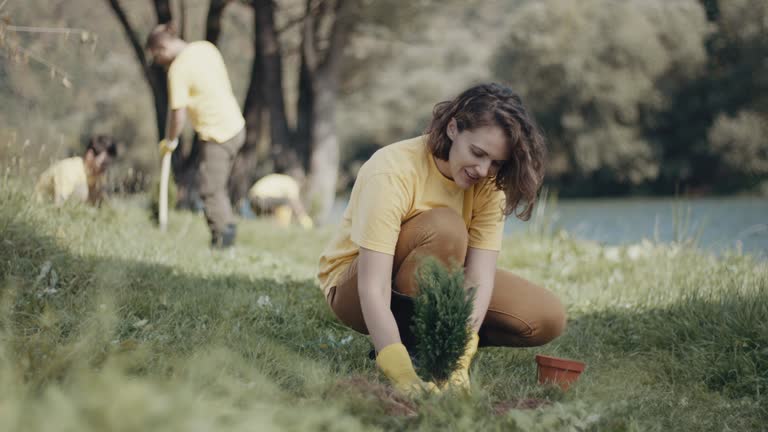 Best Stump Grinding and Removal  in Groesbeck, OH