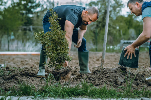 Best Seasonal Cleanup (Spring/Fall)  in Groesbeck, OH