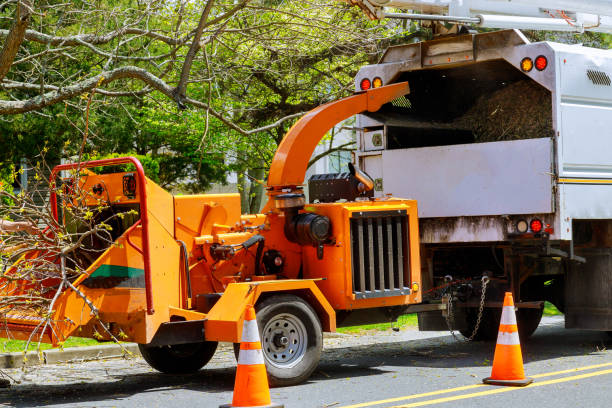 Best Commercial Tree Services  in Groesbeck, OH