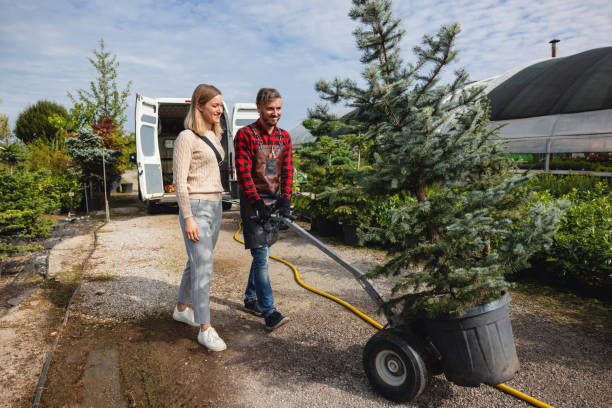 Best Lawn Watering Services  in Groesbeck, OH